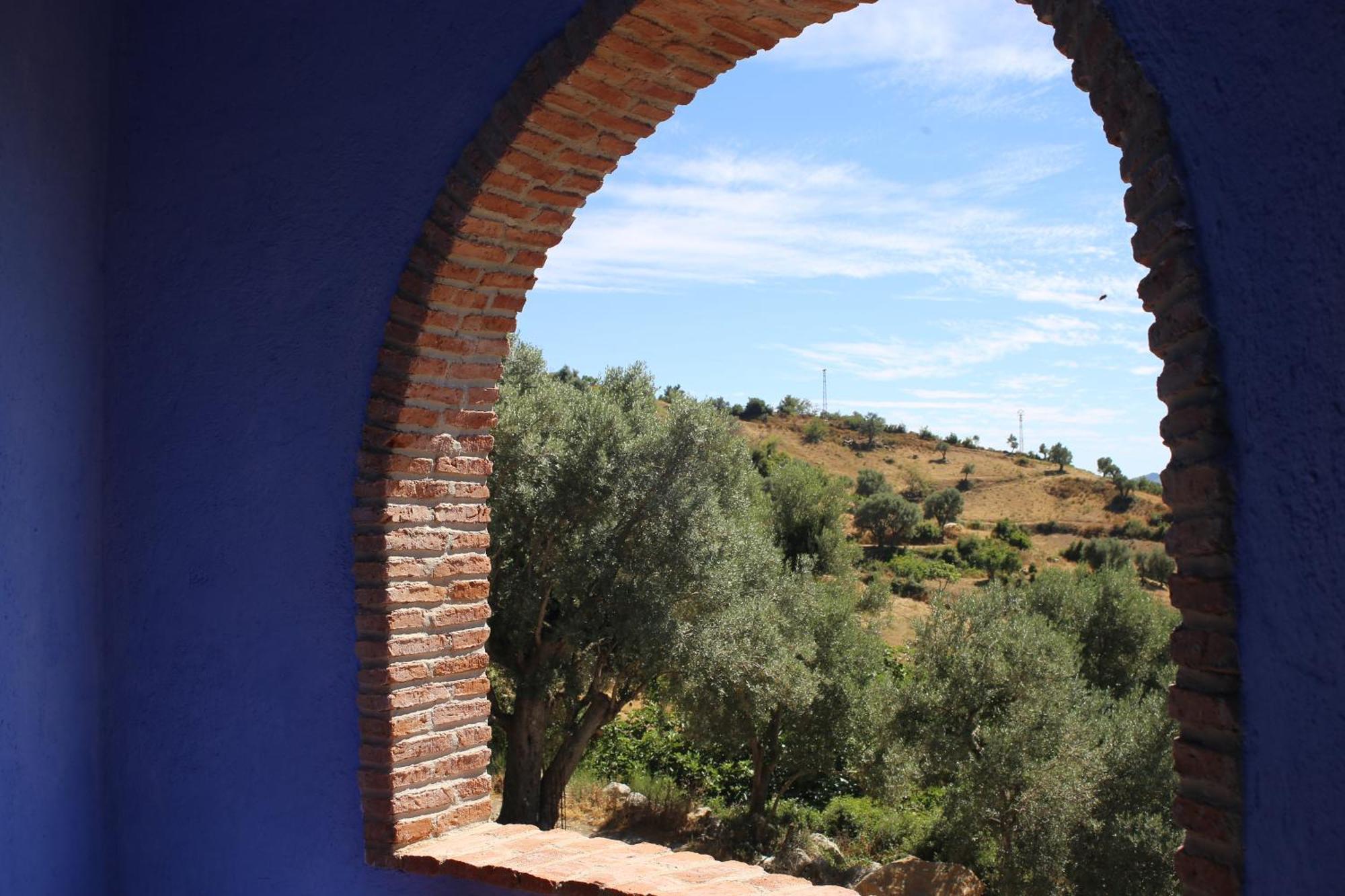 Haven Hills Social Club Hotel Chefchaouen Bagian luar foto