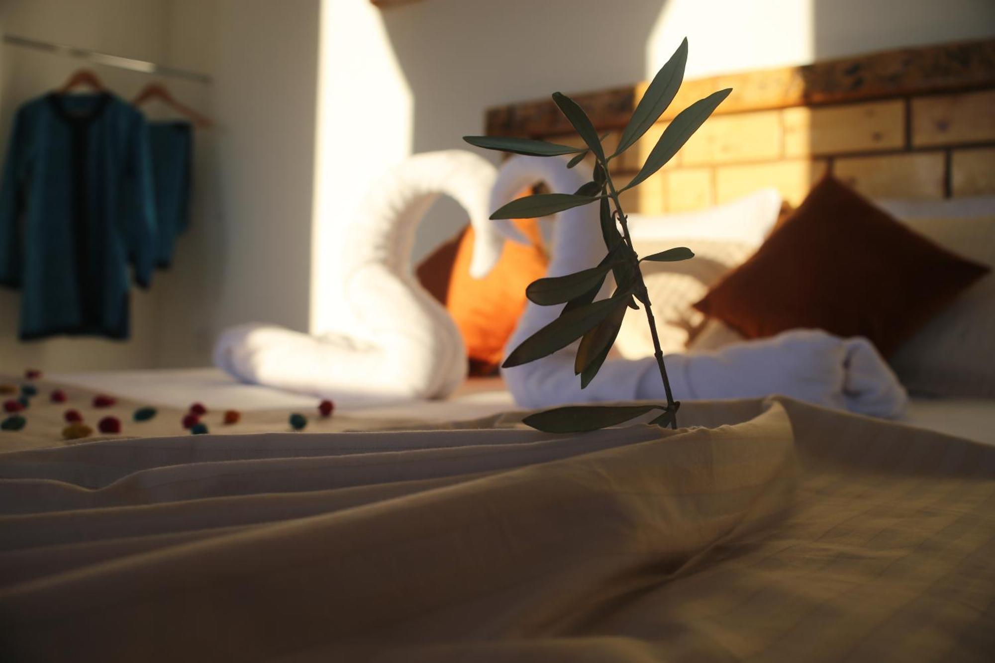 Haven Hills Social Club Hotel Chefchaouen Bagian luar foto