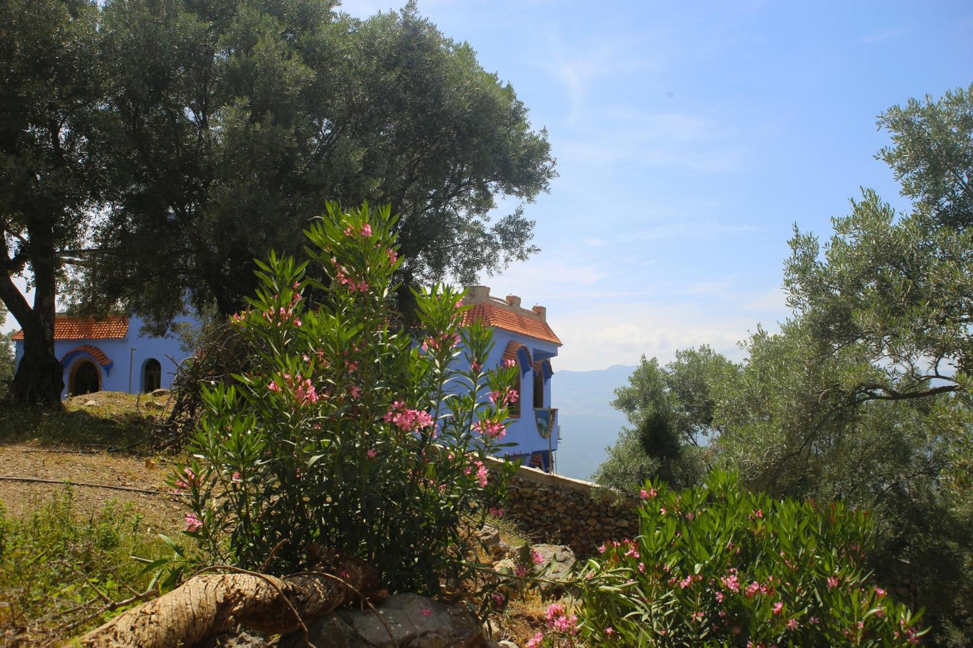 Haven Hills Social Club Hotel Chefchaouen Bagian luar foto