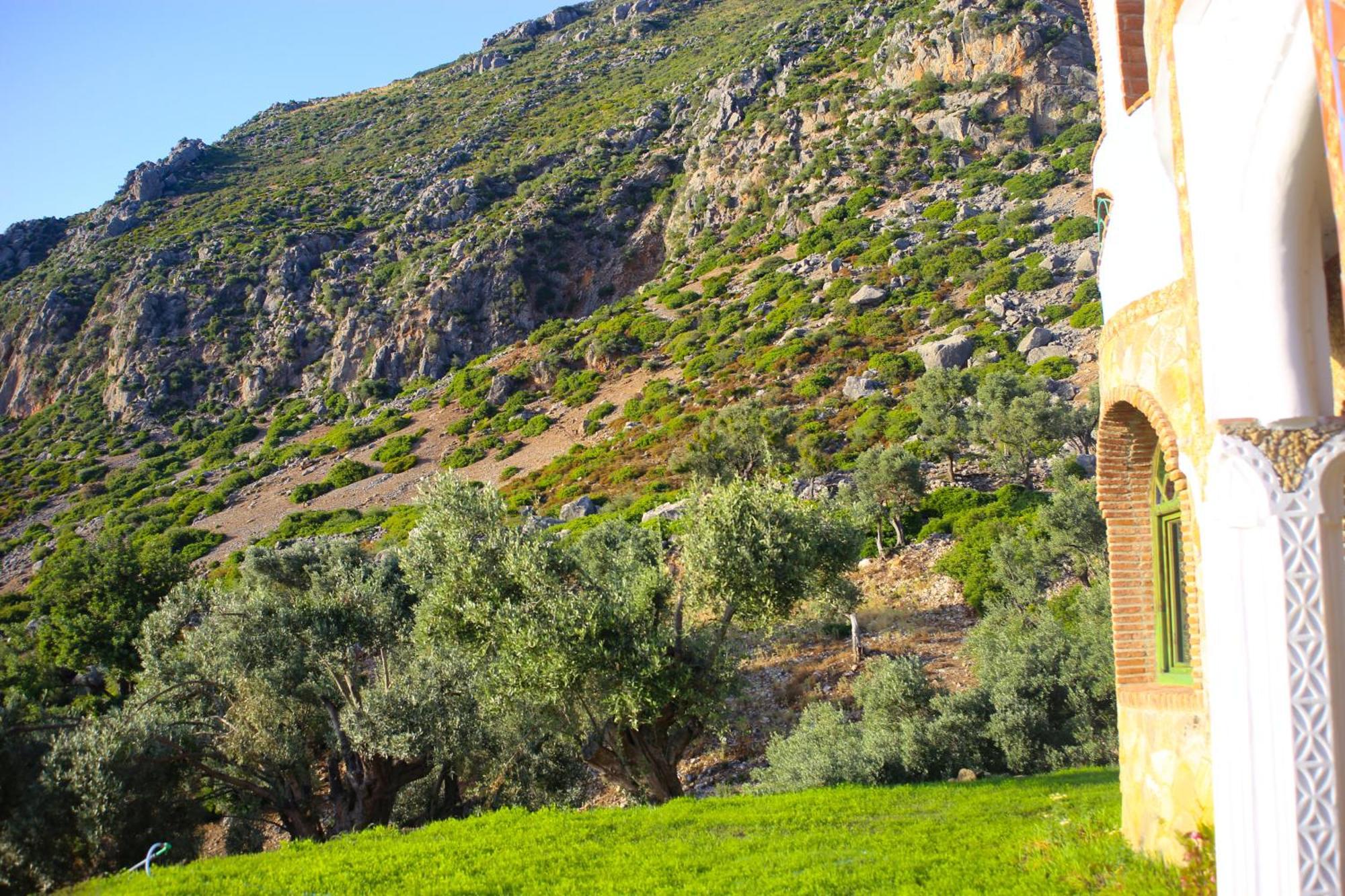 Haven Hills Social Club Hotel Chefchaouen Bagian luar foto
